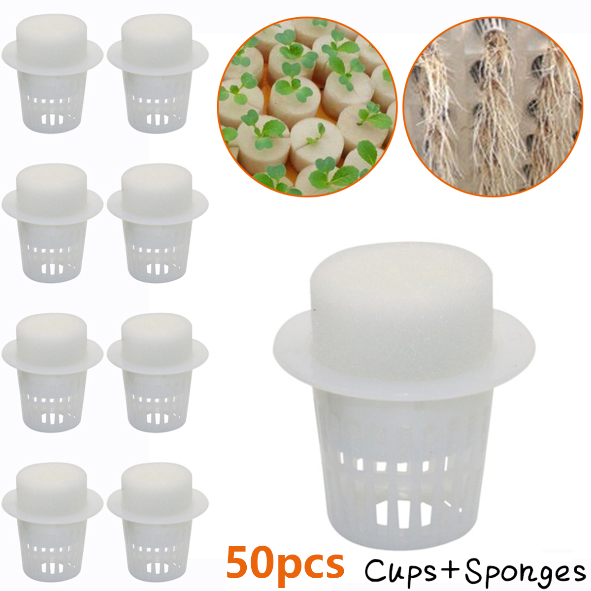 50PCS Pianta Net Tazza e 50PCS - Plastic Cup 50Pcs recensione e prezzo