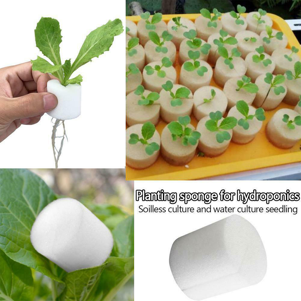 50PCS Pianta Net Tazza e 50PCS - Plastic Cup 50Pcs recensione e prezzo